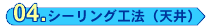 ex_kouhou04