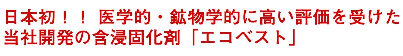 日本初！医学的・鉱物学的に高い評価を受けた当社開発の含浸固化剤 「エコベスト」